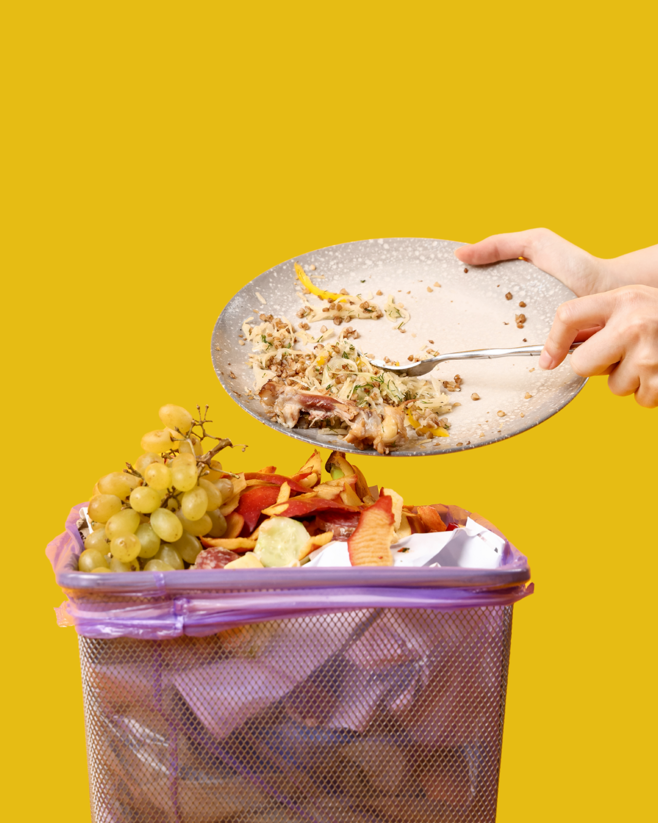 Tabaktan çöpe doğru gıda artıkları ve mor astarlı çöp kutusundaki üzüm ile elma kabukları; sarı arka plan.